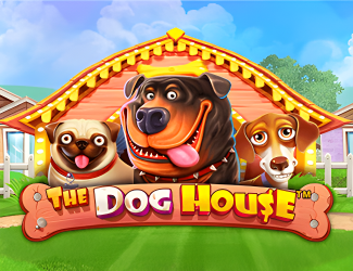 The Dog House game at Eu9 Casino